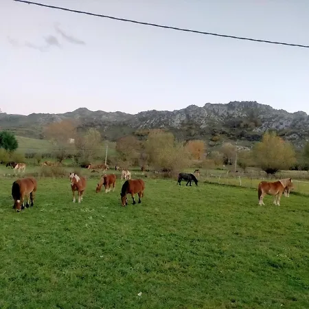 Holiday home Turismo En Babia Bajo Nidos *