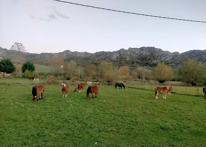 펜션 Turismo En Babia Bajo Nidos *